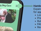 façons d’apprendre HTML avec vrais défis d’interface utilisateur
