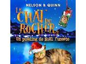 chat rocher pudding Noël funeste" Sandra Nelson Alice Quinn