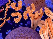 TAUOPATHIE agrégation induite aussi stress