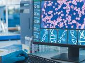 LONGÉVITÉ génotype raccourcit l’espérance