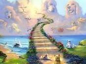 animaux vont-ils nous accompagner dans l’au-delà