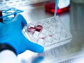 CANCER petite molécule pourrait bloquer croissance