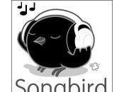 Songbird musique libre..