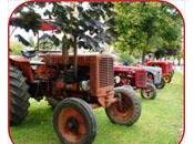 dizaines vieux tracteurs festival Champlon, dans Meuse. (Photos)