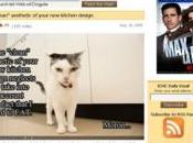 milliard pages vues pour blog chats