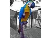 Invention cabines téléphoniques transformées animaux