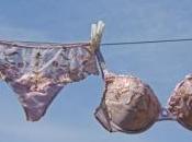 Vols soutiens-gorge série dans l'Etat Floride