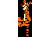 Education l'image ressources