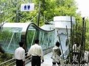 Découvrez toilettes publiques luxe euros