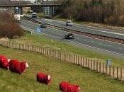 Moutons autres animaux relookés couleurs