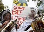 apiculteurs manifestent tenue dans rues Londres