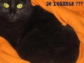 concours d’Halloween votes