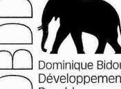 développement durable pour tous, selon Dominique Bidou