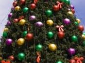 Quatre immigrés clandestins cachés dans arbre Noël