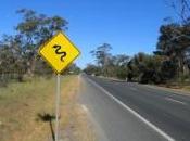 serpent retrouvé dans imprimante