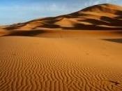 Découverte deux nouvelles espèces dinosaures mises jour dans Sahara