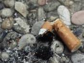 Désintoxiqué tabac, devient accro... chips