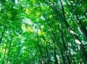 couple reçoit lettre adressée "Ploucs bois"