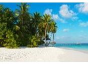 candidate "travail rêve" l'île australienne s'est fait tatouer amour pour Grande barrière