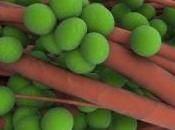 point faible souches staphylocoques dorés résistantes découvert