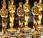 Oscars 2009 artistes films compétition
