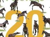 L’annuaire cheval 2009