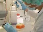 nouvelle technique pousse cellules cancéreuses suicide