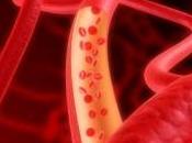 nouvel outil pour contrôler vaisseaux sanguins tumeurs