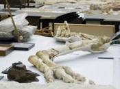 Première scientifiques découvrent cerveau fossilisé, voir images