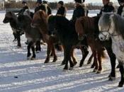 Image jour Toujours méfier dans gelé