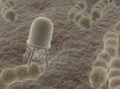 gouvernement lance débat public nanotechnologies