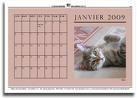 Calendrier, amour...