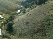 ans, grimpé l'équivalent cinq fois l'Everest