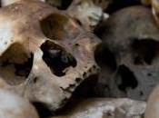 Comment ancêtres tuaient-ils "vampires" Découvrez images