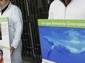 Trafic viande baleine Greenpeace dénonce censure gouvernement japonais
