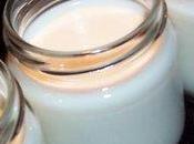 Yaourts fontaine fruits d'été