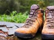 randonneur blessé survit milieu montagnes pendant semaine