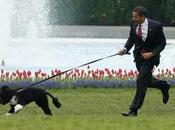 "Bo" chien Obama