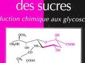 CHIMIE MOLECULAIRE SUPRAMOLECULAIRE SUCRES. Introduction chimique glycosciences