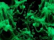 images marin mucus vert phosphorescent identifié scientifiques