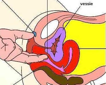 Le point G féminin : démonstration en vidéo