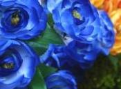 découvrir images d'étonnants sacs main forme fleur cactus