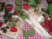 Table "ramène fraise !!!!"