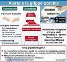 Grippe porcine symptômes inconnus déroutant observés France