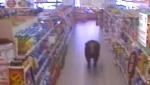 taureau dans allées supermarché (vidéo)