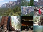 route pour Yosemite neuvième étape