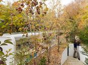 Bureaux Espagne Selgas Cano