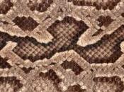 homme fait mordre pénis toilettes