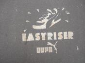 idée logo pour EasyRiser
