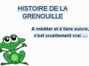 Histoire grenouille